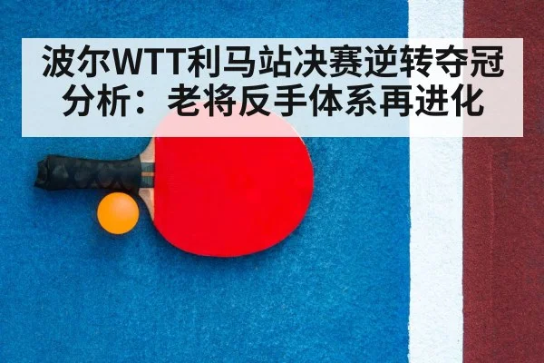 table tennis racket close up